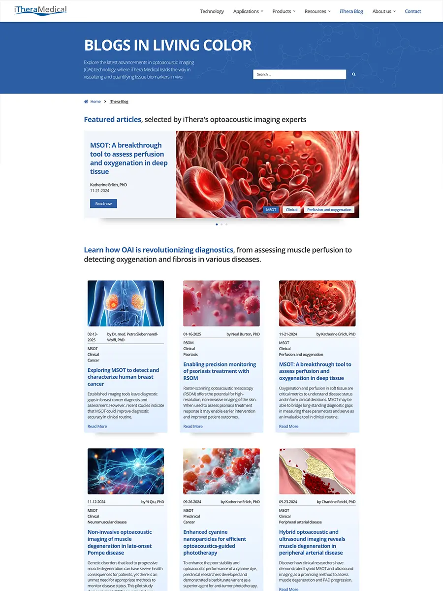 WordPress Webseiten erstellen lassen