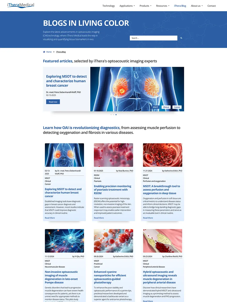 WordPress Webseiten erstellen lassen